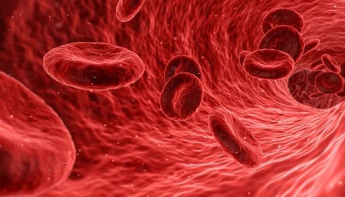 Aplastic Anemia Crisis: 8 Crucial Facts to Know